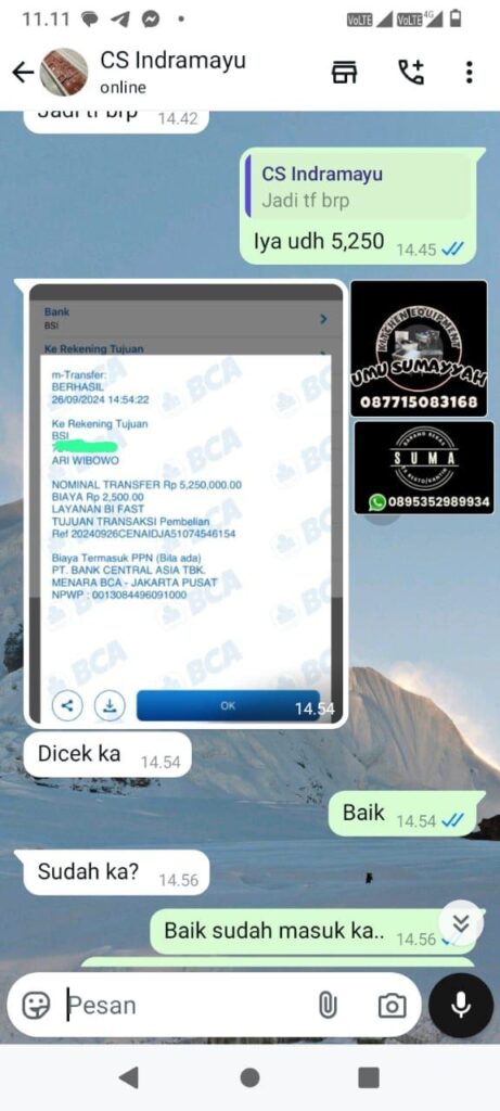 6057425268311704138
